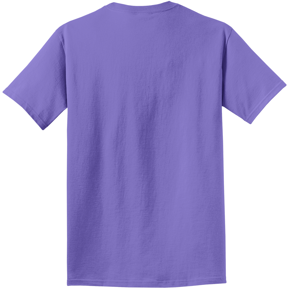 Port & Company® Beach Wash® Garment-Dyed Tee - PC099